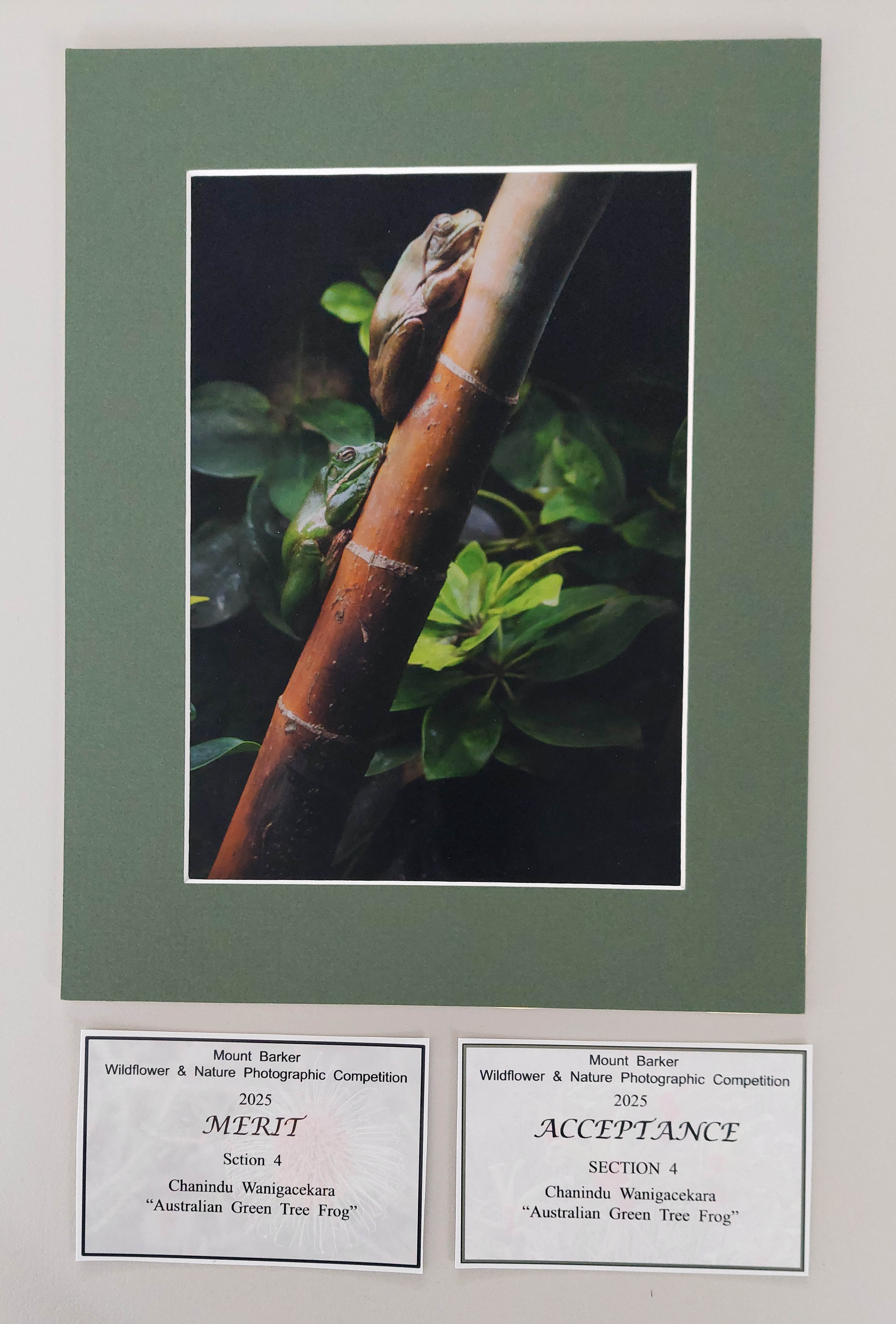 /uploaded_files/media/gallery/1762755561Mount Barker Chanindu.jpg